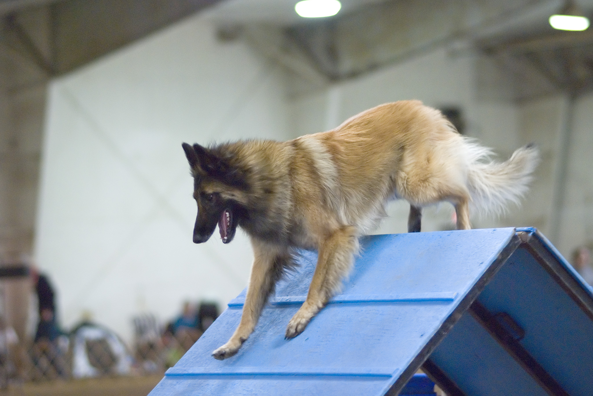 agility