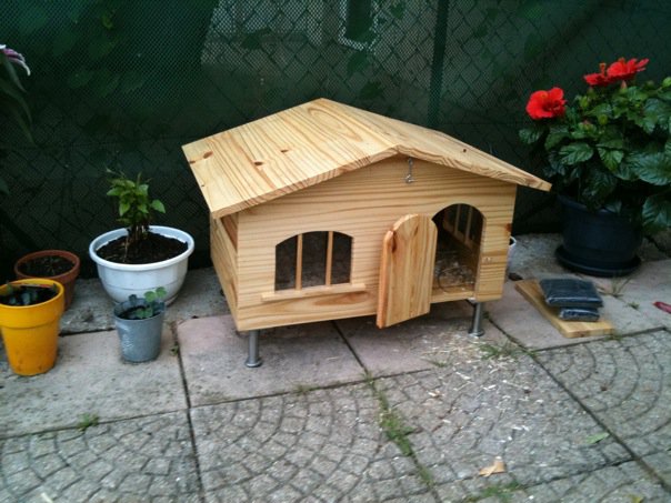 maison lapin 1