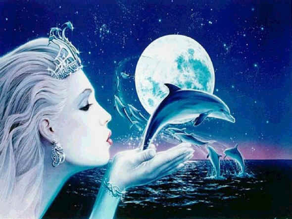 Delfinfee