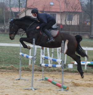 Spring,reiten