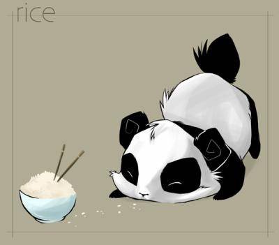 panda chinois