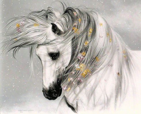 http://blog.chevalmag.com/media/users/e/elocharlou/cheval-blanc-6851786a38_201102210338.gif