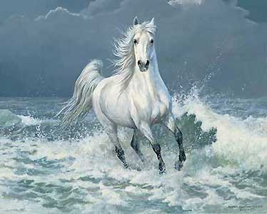 http://auto.img.v4.skyrock.net/5815/74975815/pics/3110419441_1_2_8YeGWWqw.jpg