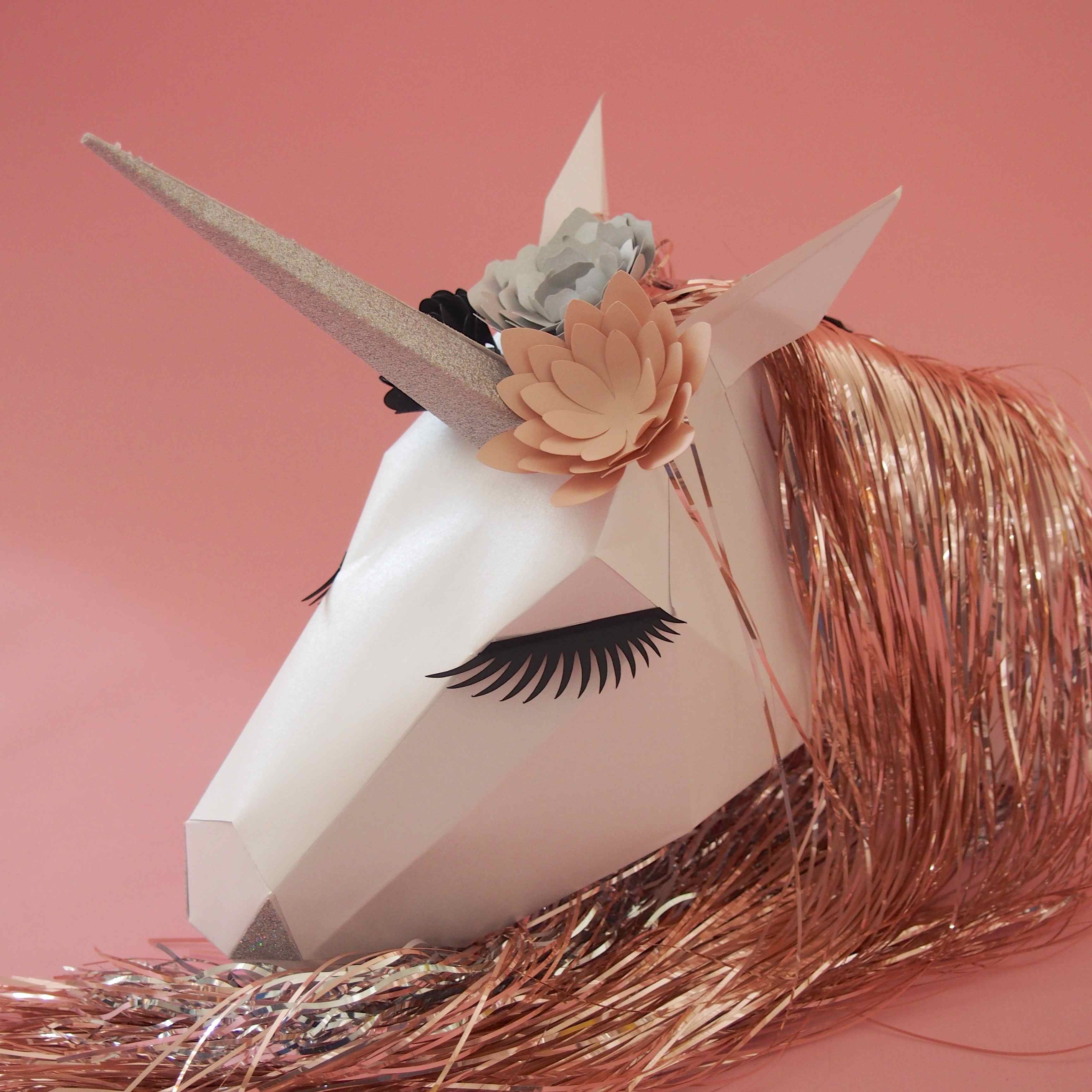 Bildergebnis fÃ¼r DIY licorne
