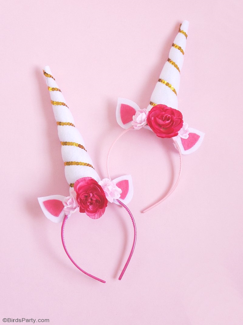 Bildergebnis fÃ¼r DIY licorne