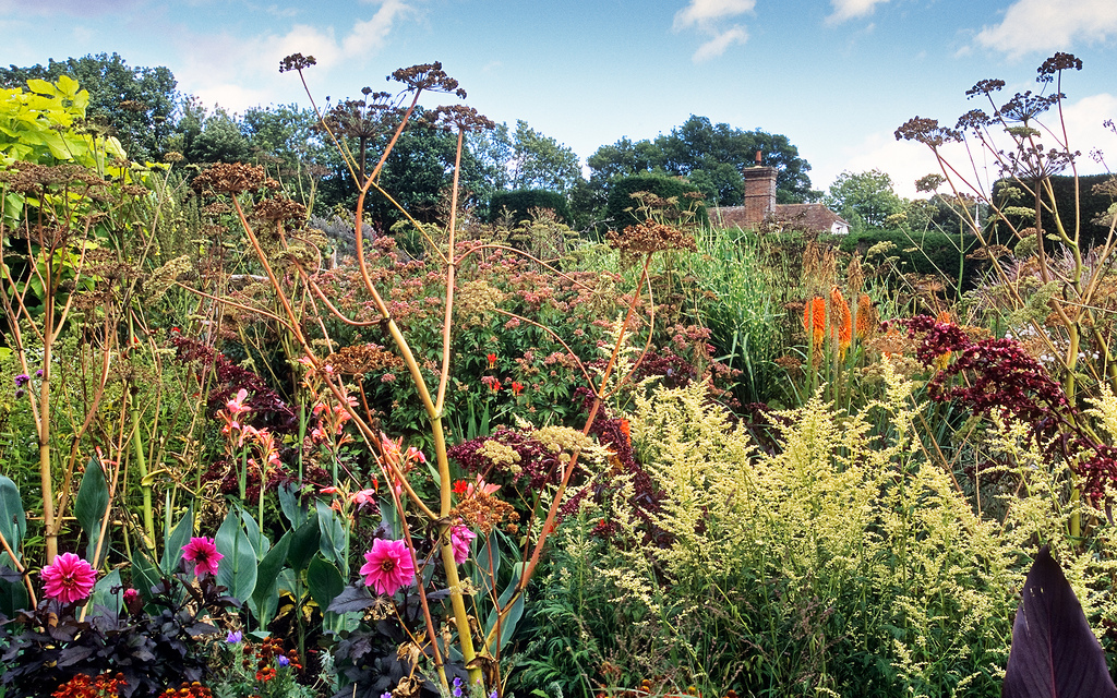 Bildergebnis fÃ¼r big garden, many different plants