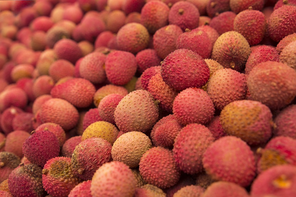 Litchi, Fruits, Frais, Alimentaire, En Bonne SantÃ©