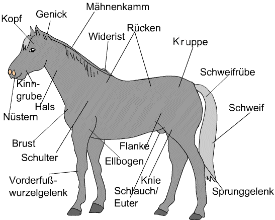 RÃƒÂ©sultat de recherche d'images pour 