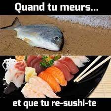 Kajirō Sushi Vienne - 👉Craquage du jour #humour ! Bon jeudi à tous !  Rappel : #KajiroSushi sur place, à emporter, à commander ! 📞 09 63 67 98  06 | Facebook
