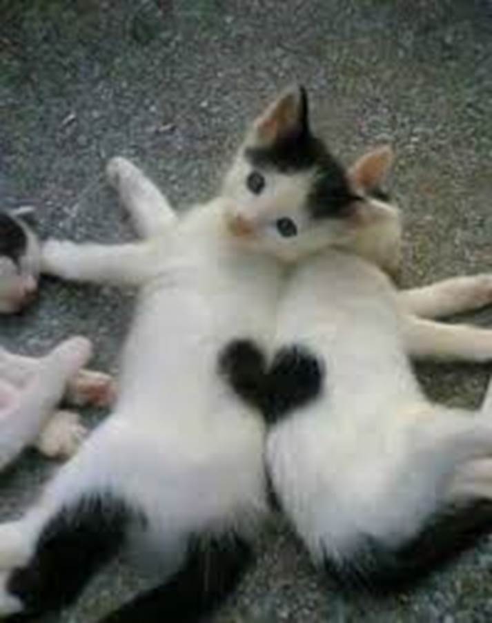 coeur