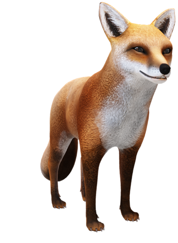 Renard