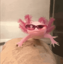 Axolotl GIFs - GIFcen